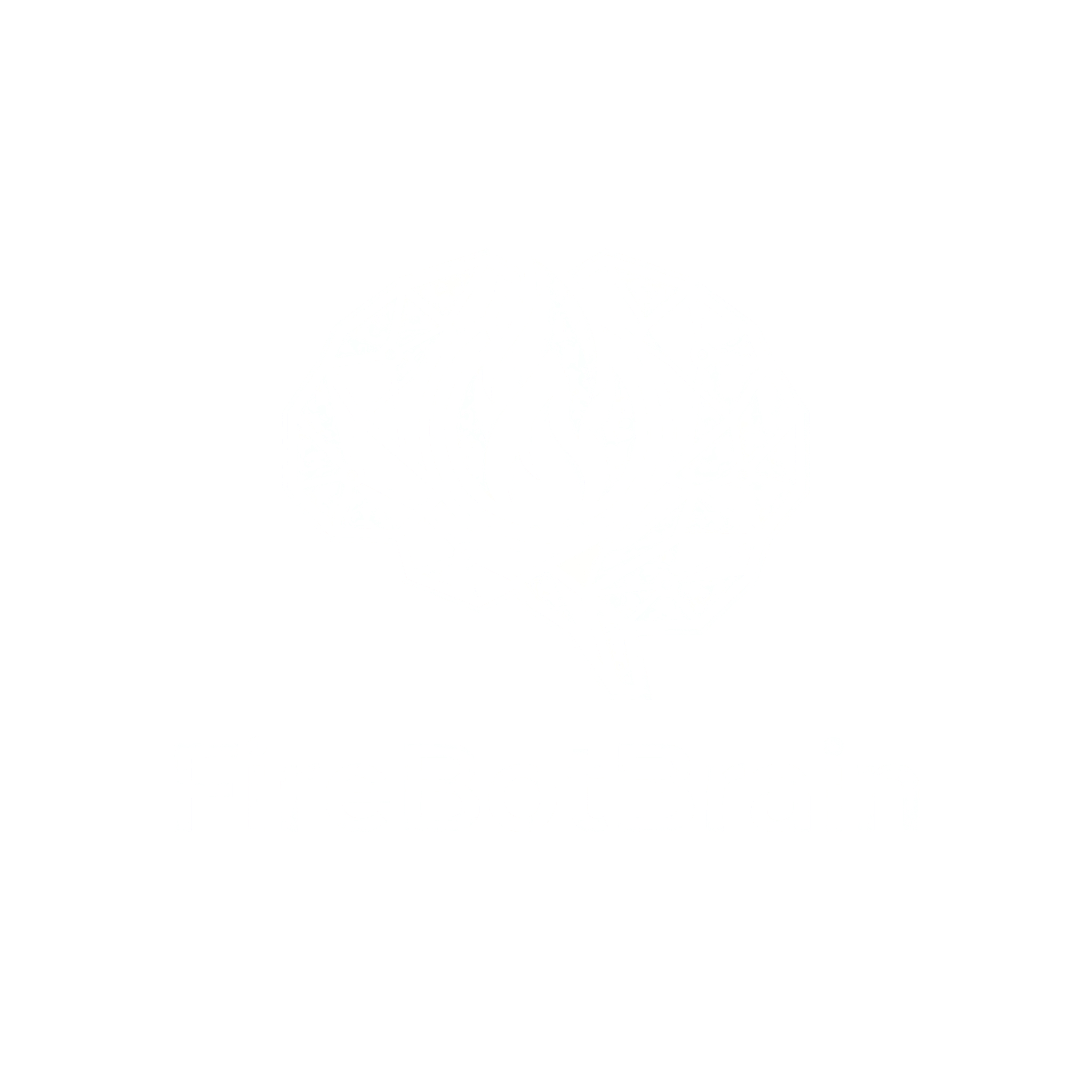 FireBotBrain